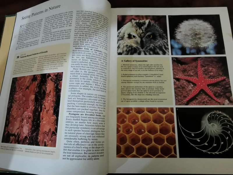 Reader's Digest, Joy of Nature - Large Hardcover
