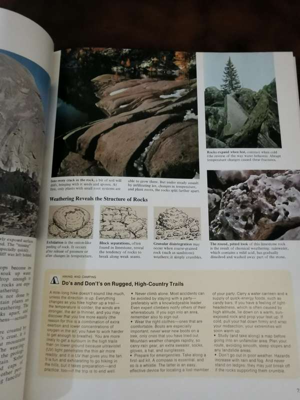 Reader's Digest, Joy of Nature - Large Hardcover