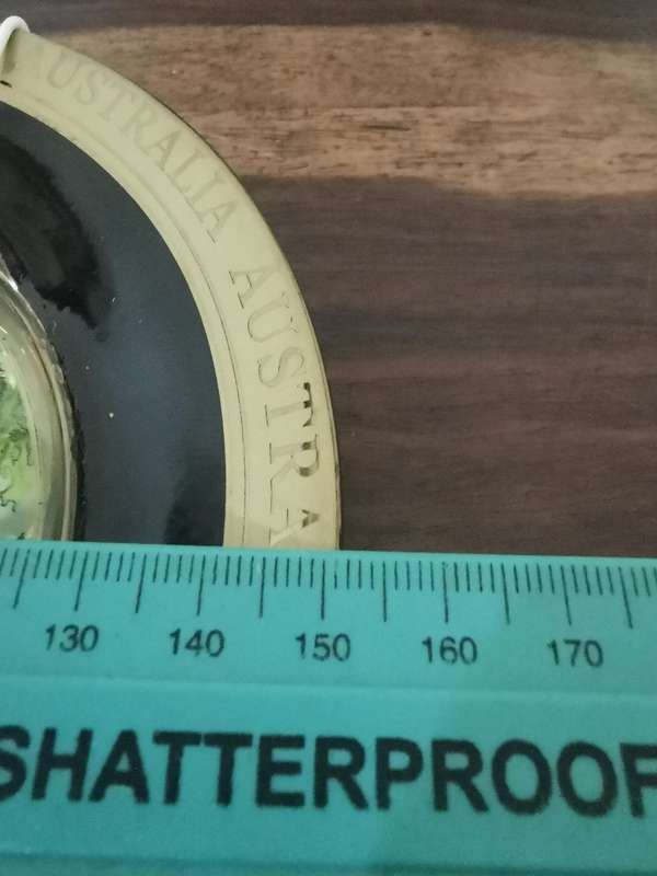Gorgeously Designed Display Plate from Australia with Gold Trim