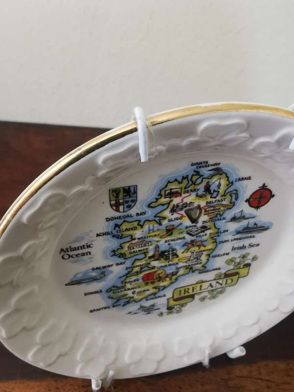 Gorgeous Display Plate Pair from Ireland