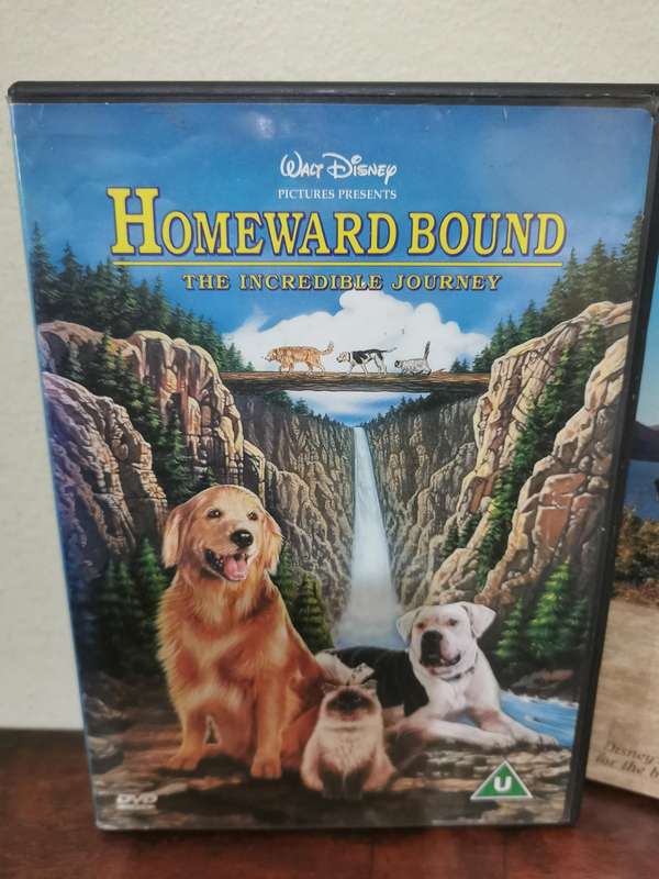 Homeward Bound 1 and 2 on DVD