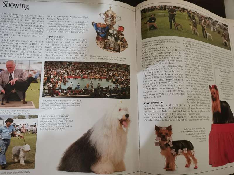 The Ultimate Dog Book by David Taylor