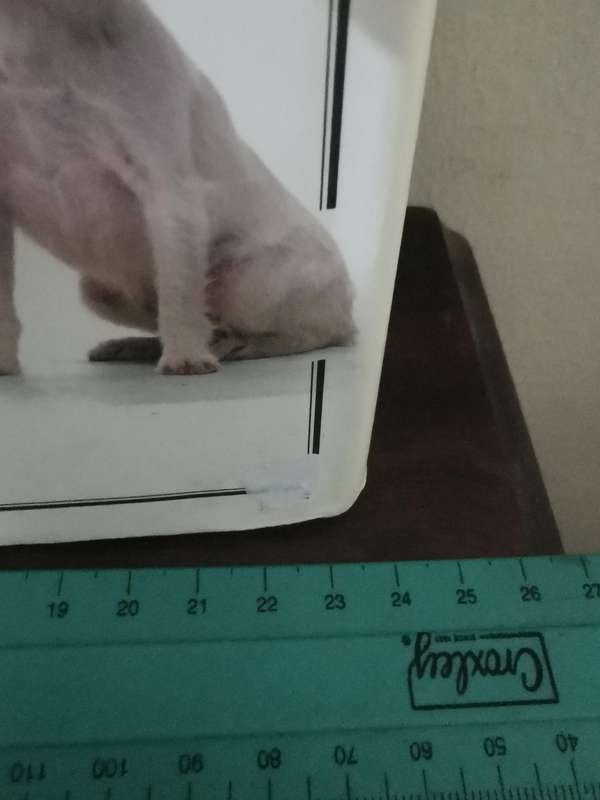 The Ultimate Dog Book by David Taylor