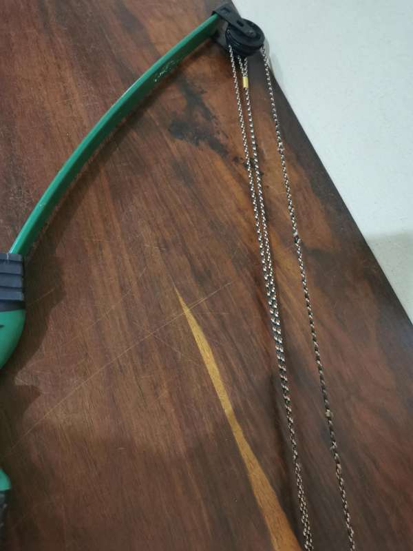 Bear Archery Scout Bow