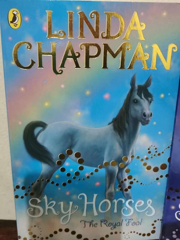 Linda Chapman Book Combo for Kids
