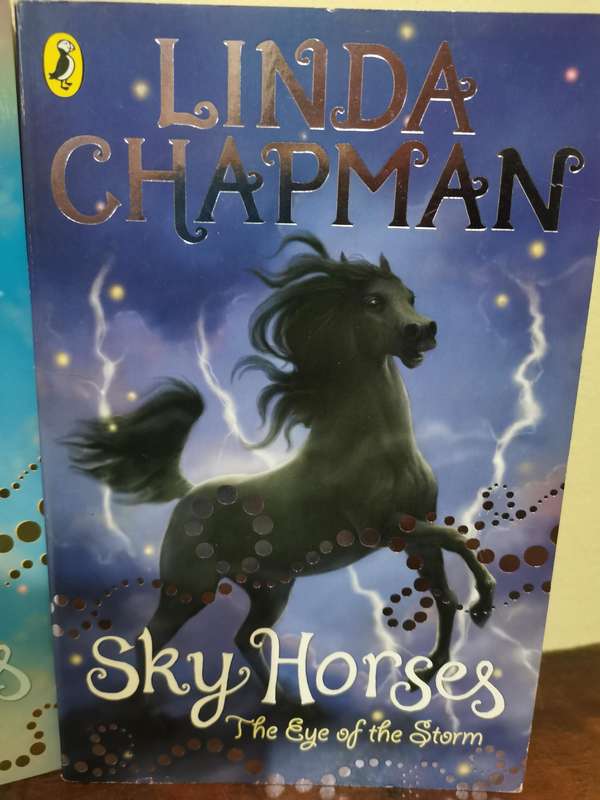 Linda Chapman Book Combo for Kids