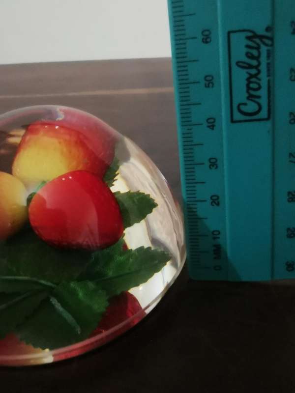 Pair of Adorable Glass Dome Paperweights