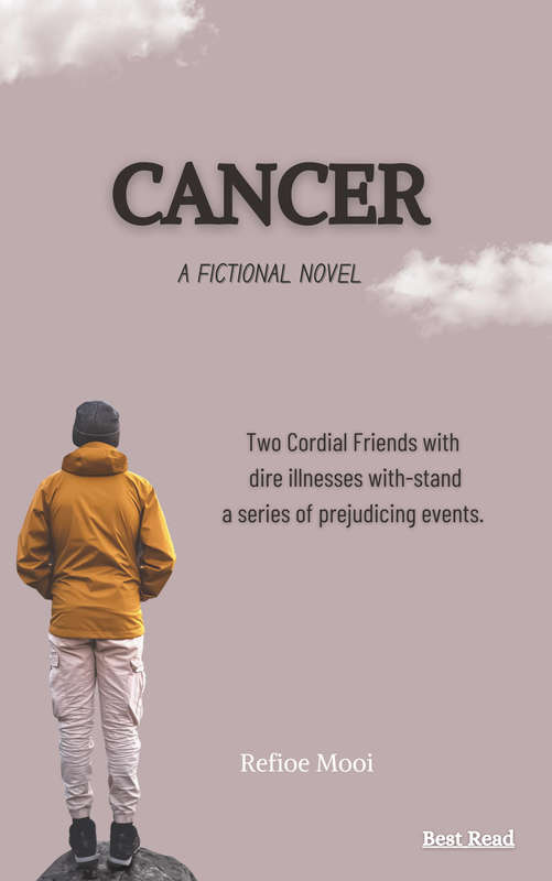 Fictional Novel (PDF)