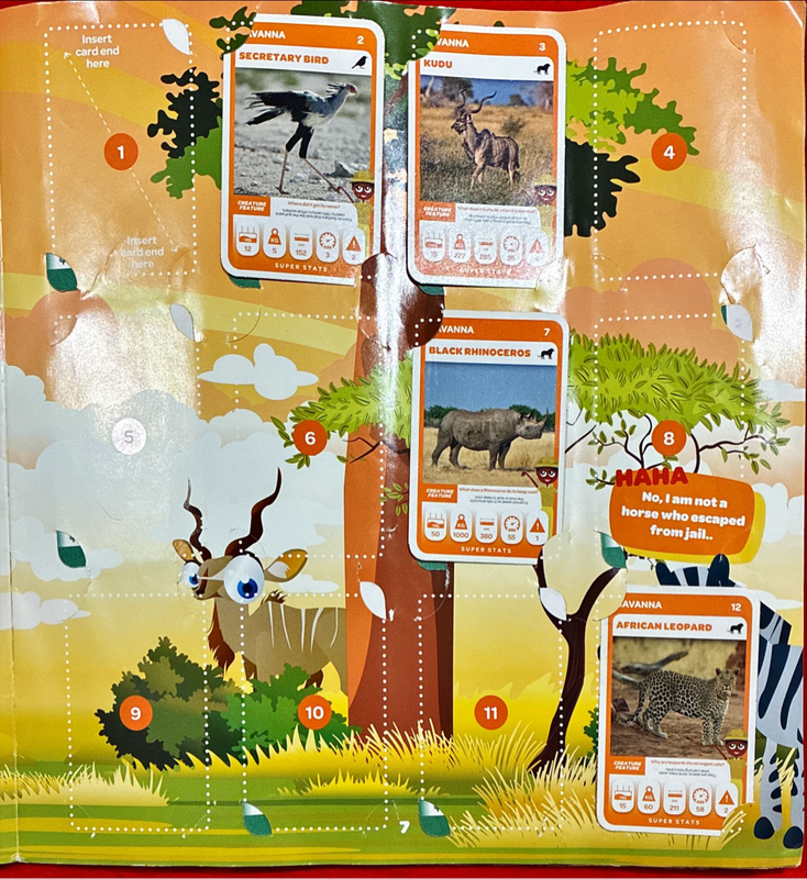 Pick n Pay Super Animals Album