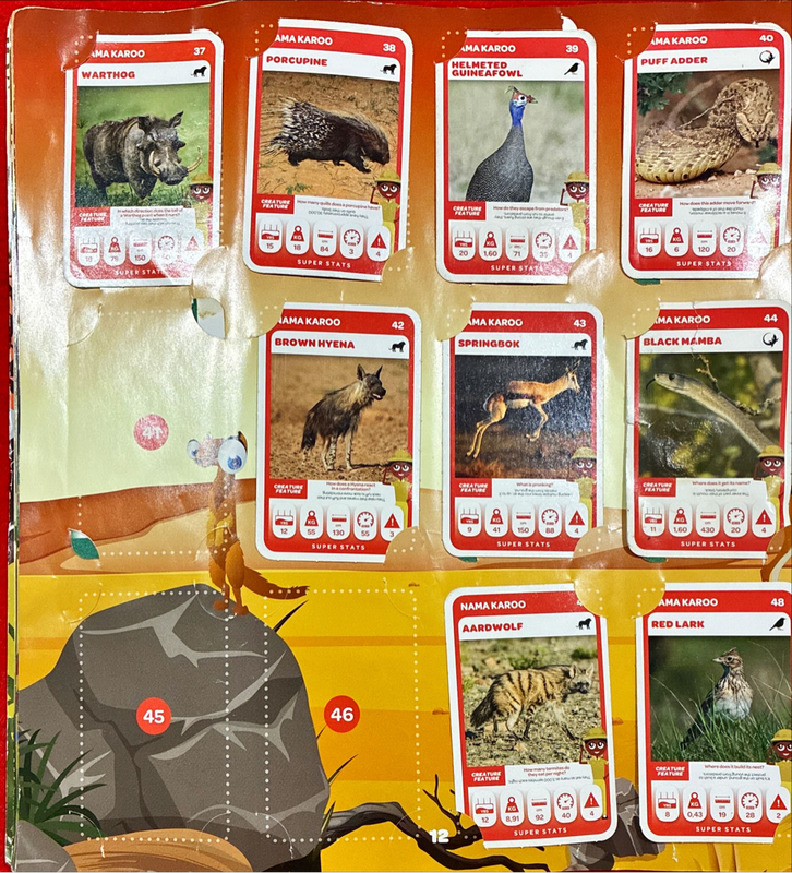 Pick n Pay Super Animals Album
