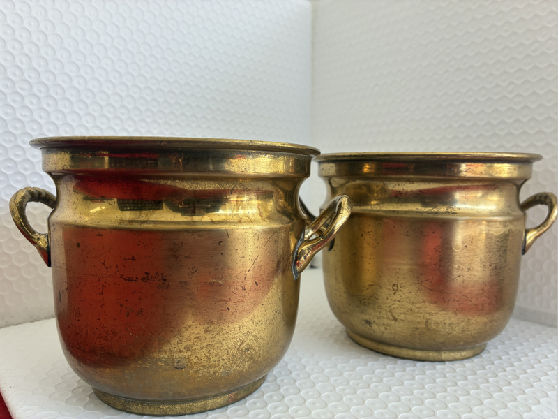 A Pair of Small Planters with Handles