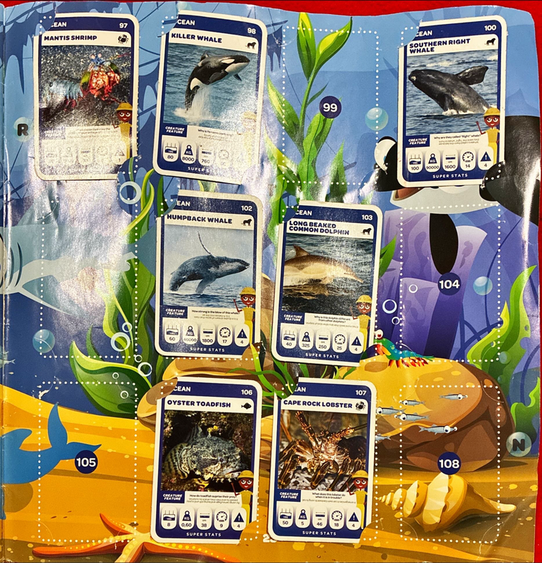 Pick n Pay Super Animals Album