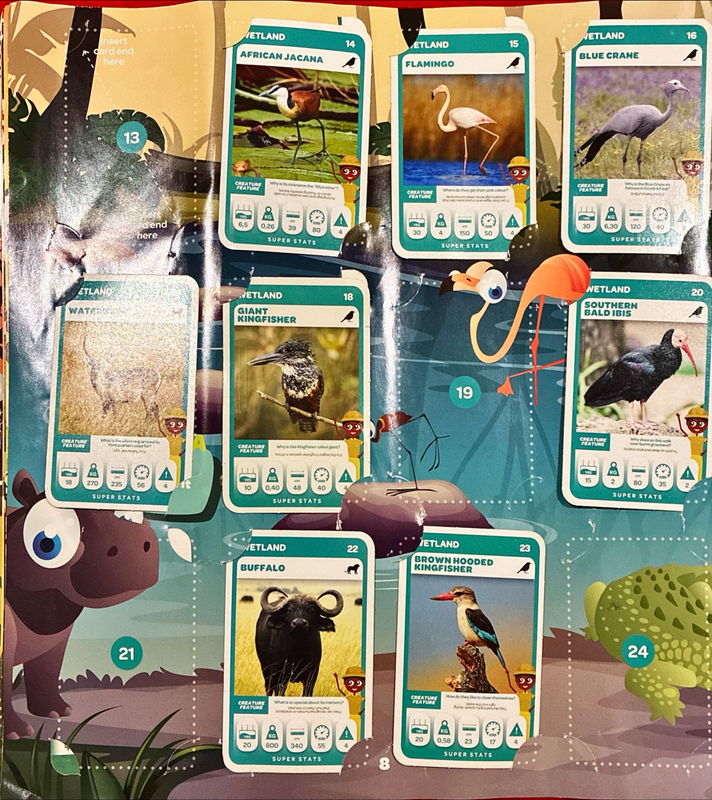 Pick n Pay Super Animals Album