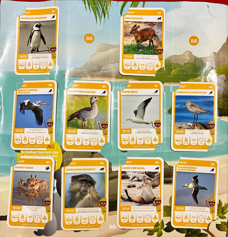 Pick n Pay Super Animals Album