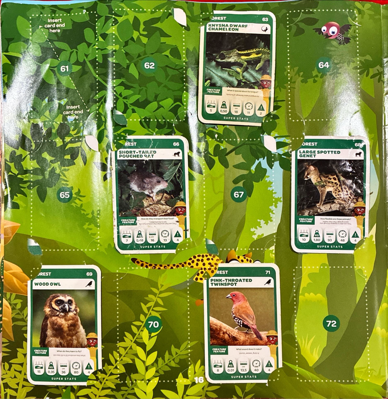 Pick n Pay Super Animals Album