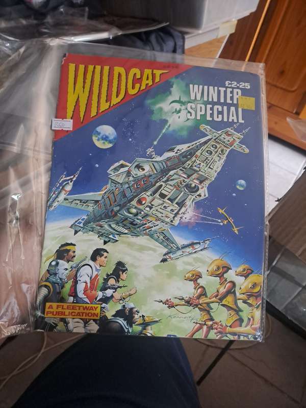 Wildcat Winter Special (A Fleetway Publication)