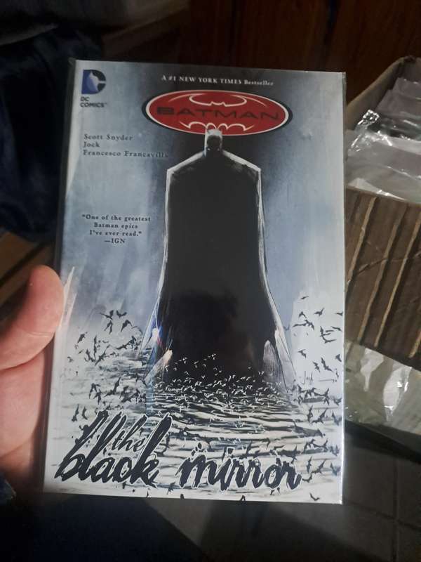 Batman The Black Mirror [ISBN 9781401232078] (DC)