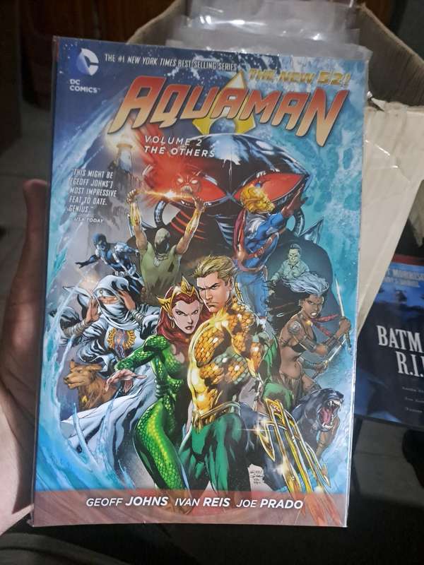 The New 52 Aquaman Vol.2 The Others [ISBN 9781401242954] (DC)