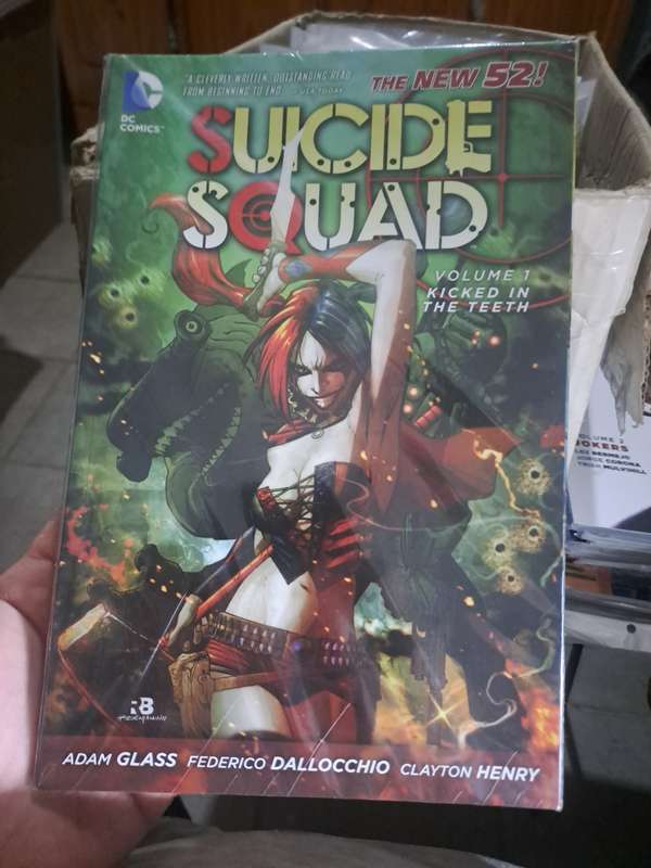 The New 52 Suicide Squad Vol.1 Kicked In The Teeth [ISBN 9781401235444] (DC)