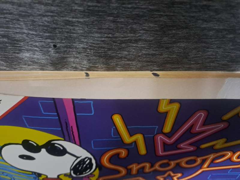 Snoopy (2 Comics)(see pics for condition)