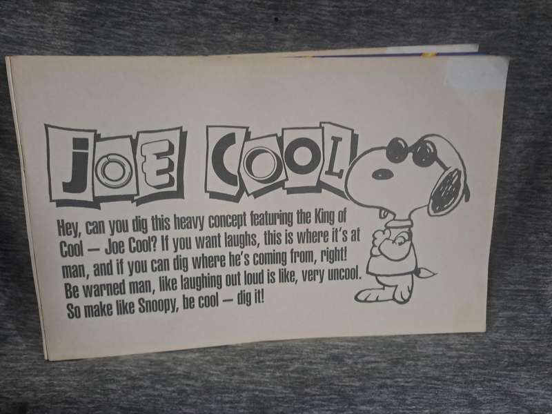 Snoopy (2 Comics)(see pics for condition)