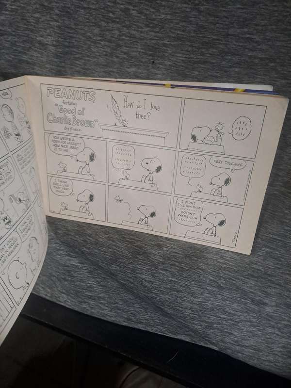 Snoopy (2 Comics)(see pics for condition)