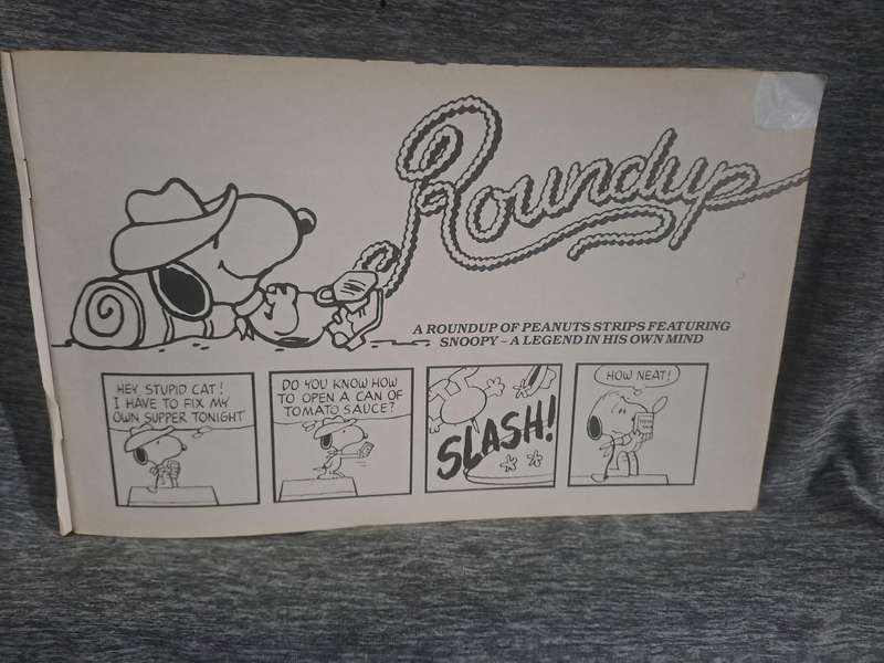 Snoopy (2 Comics)(see pics for condition)