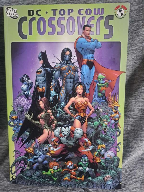 DC Top Cow Crossovers [ISBN 9781401213381](DC Comics)