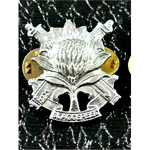 South West Africa Territorial Force (SWATF) INGANTRY BADGE