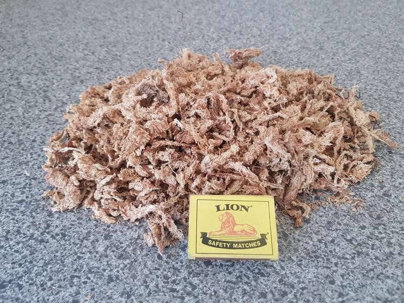 Sphagnum moss (dried)- 20 grams
