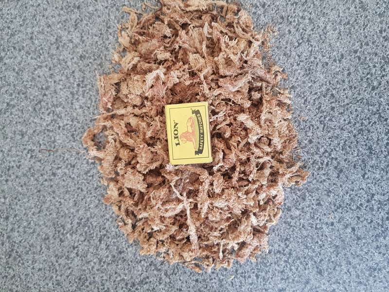 Sphagnum moss (dried)- 20 grams
