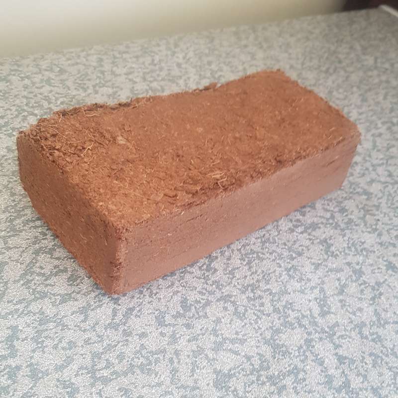 Coco peat brick - 500g+