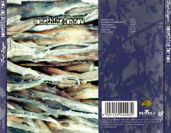 Just Jinger - Something For Now (Music CD)