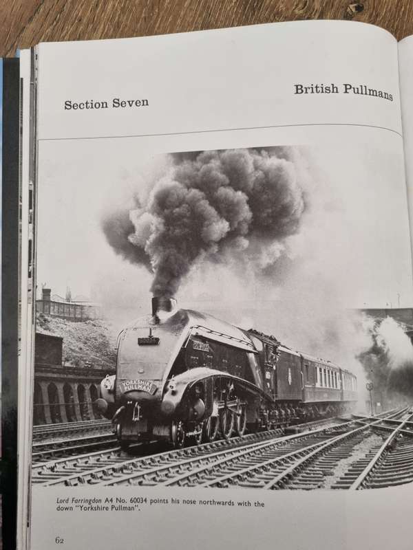 Lure of STEAM by Eric TREACY