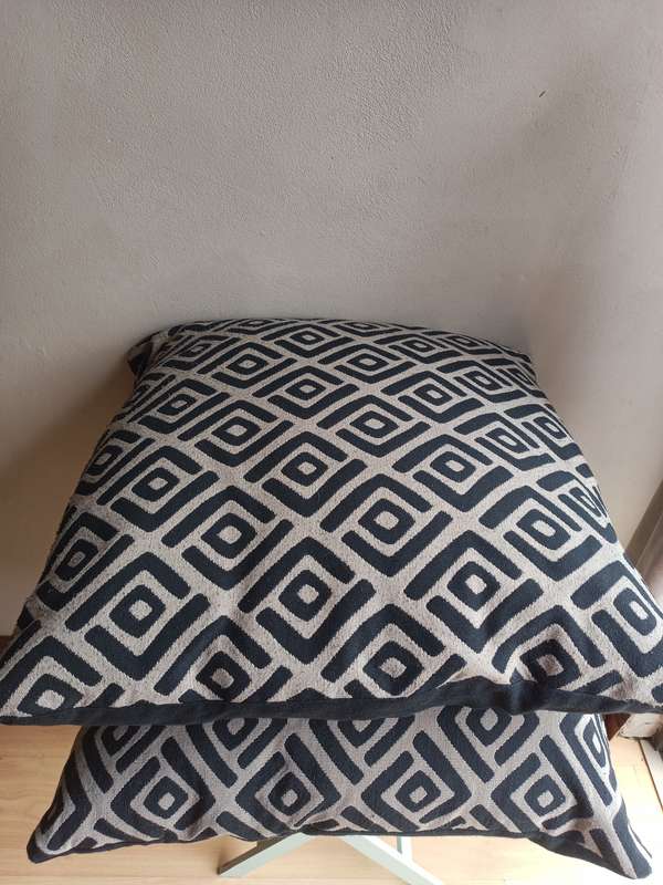 Two Stunning scattered cushions