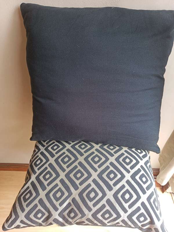 Two Stunning scattered cushions