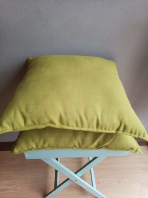 Two Stunning scattered cushions