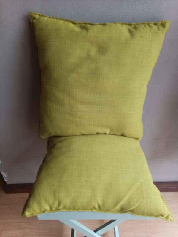 Two Stunning scattered cushions
