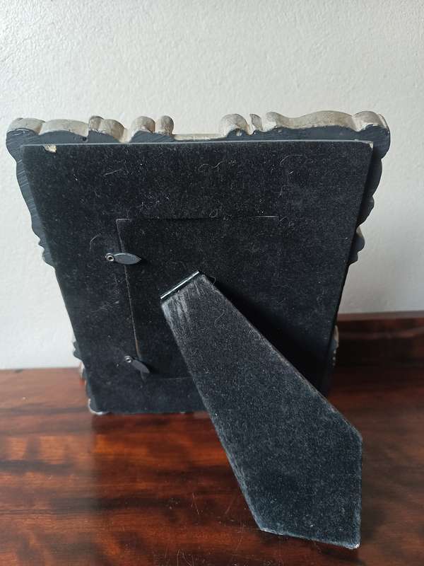 Two Stunning vintage photo frames