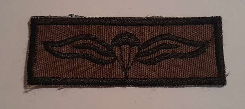 SADF Parachute Wings Qualification Badge - Static Line.