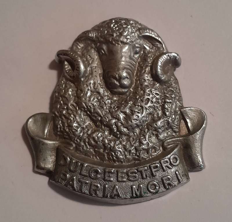 Regiment Groot Karoo Chromed Cap Badge.  No Lugs.