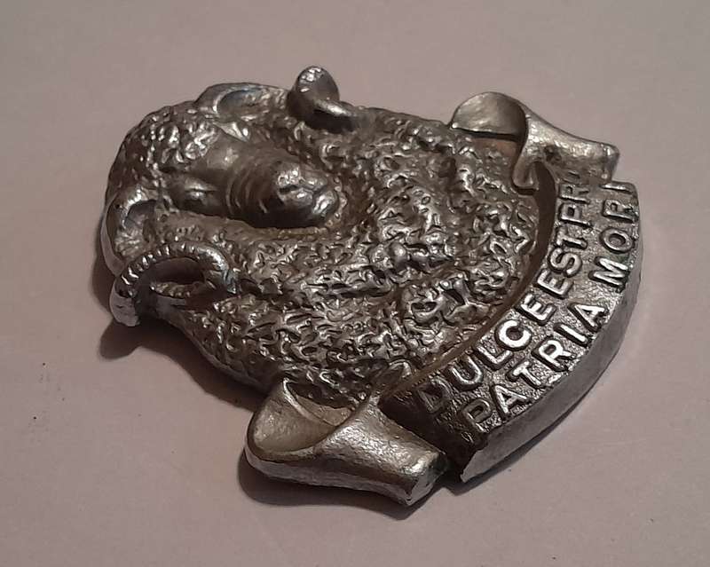 Regiment Groot Karoo Chromed Cap Badge.  No Lugs.