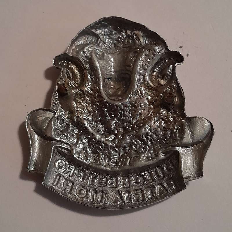 Regiment Groot Karoo Chromed Cap Badge.  No Lugs.