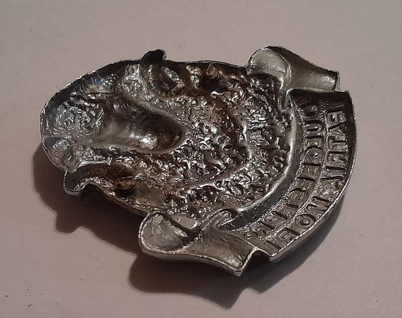 Regiment Groot Karoo Chromed Cap Badge.  No Lugs.