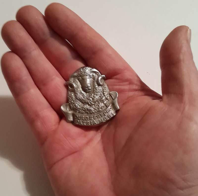 Regiment Groot Karoo Chromed Cap Badge.  No Lugs.