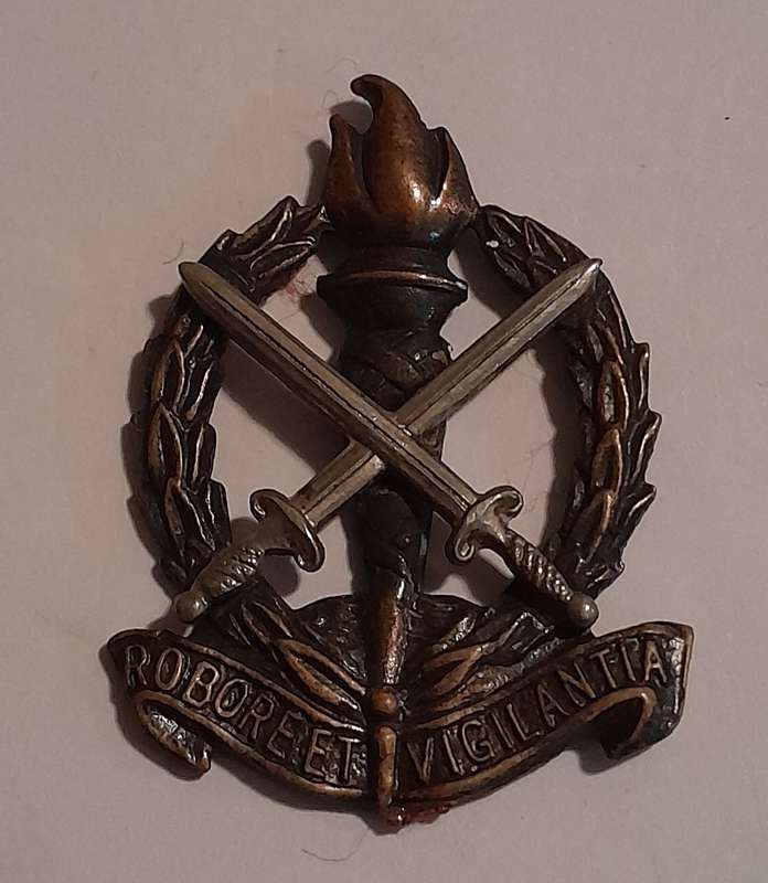 SADF Regiment Skoonspruit Badge.  No Pins.