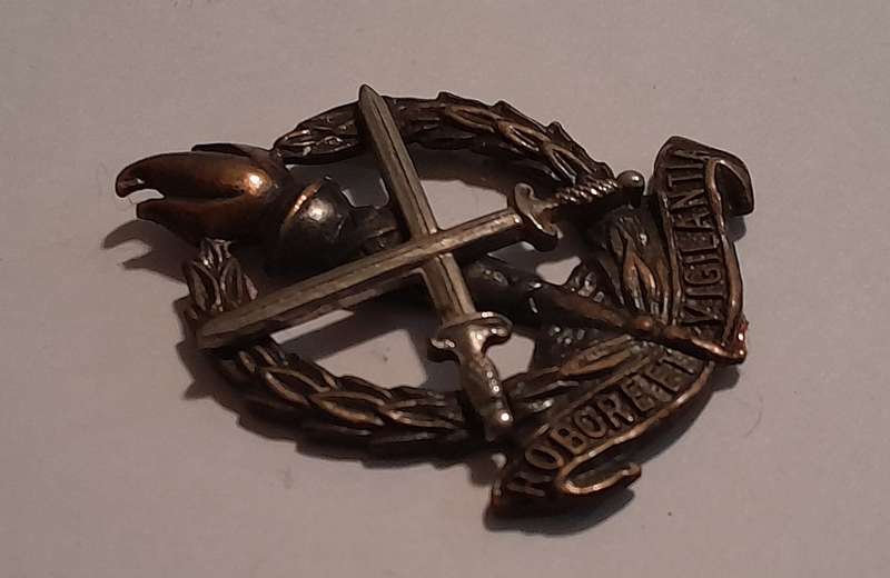 SADF Regiment Skoonspruit Badge.  No Pins.
