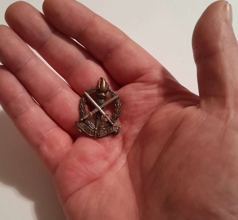 SADF Regiment Skoonspruit Badge.  No Pins.