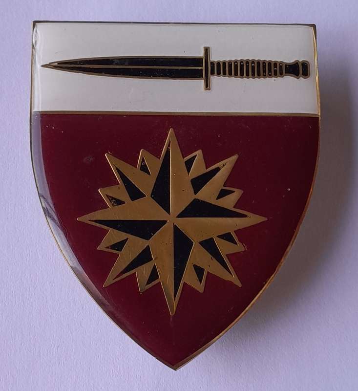 SADF Special Forces School Shoulder Flash. All Pins Intact.