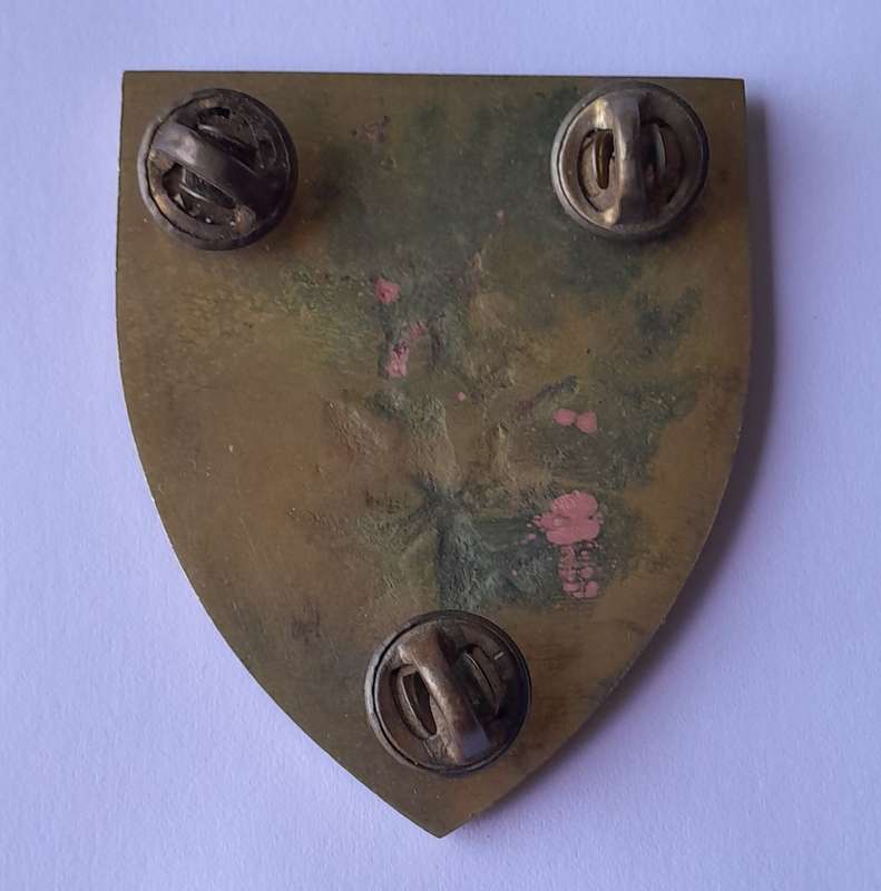SADF Special Forces School Shoulder Flash. All Pins Intact.